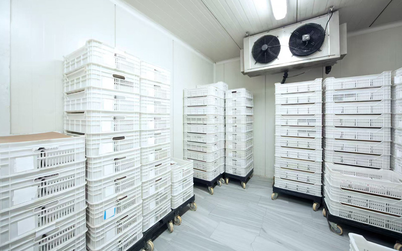 Eficiencia de recursos y administración ambiental