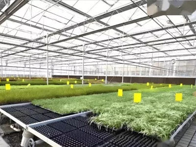 Soplador centrífugo de doble entrada, que permite el desarrollo ecológico y eficiente de la agricultura