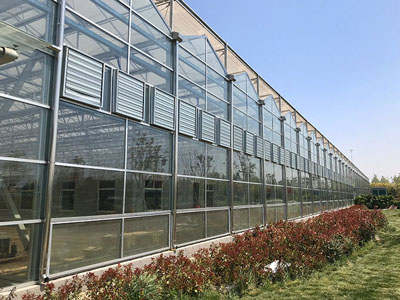 Nueva actualización de los ventiladores centrífugos de doble entrada SunxFan: la tecnología de conversión de frecuencia EC ayuda a los invernaderos de cultivo sin suelo a lograr un control eficiente de la ventilación y la temperatura