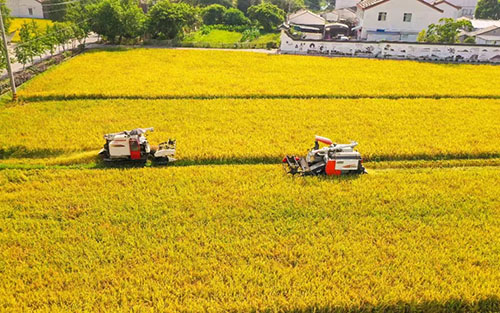 From cotton picking to harvesting, sunxfan EC variable frequency Double Inlet Centrifugal fans: a powerful engine for efficient operation of agricultural machinery and equipment From cotton picking to harvesting, sunxfan EC variable frequency Double Inlet Centrifugal fans: a powerful engine for efficient operation of agricultural machinery and equipment