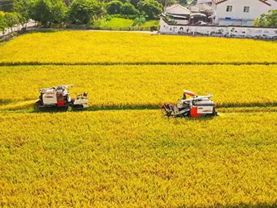 Desde la recolección de algodón hasta la cosecha, ventiladores centrífugos de doble entrada de frecuencia variable SunxFan EC